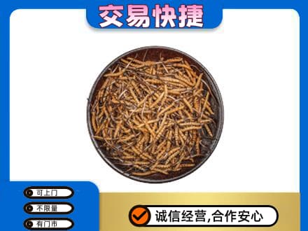 定远县高价回收散虫草